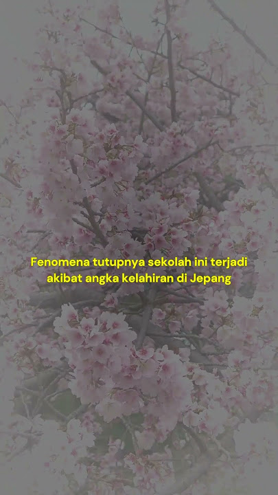 Banyak Sekolah di Jepang Tutup Akibat 'Resesi Seks'