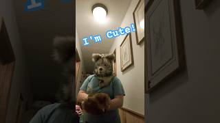 YouTube Video #418 Everyone Is Cute #furry #viral #shorts #cute