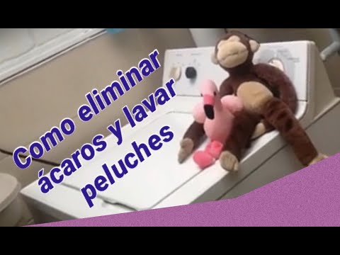 Video: Cómo Lavar Peluches En Casa + Fotos Y Videos