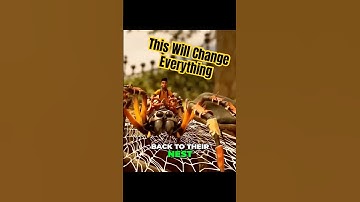 Will Grounded 2 Buggy’s Be Too OP - Grounded 2 Buggy Breakdown #grounded2 #gameadvisor