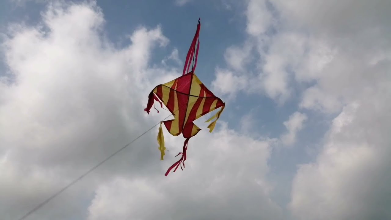 Make A Kite fish Using Coconut Sticks make-a-kite-fish-using-coconut-sticks