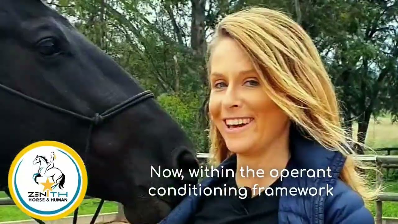 Why is your horse being disobedient?