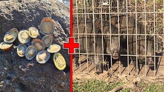 マツバガイとイノシシを○○○○にしたらヤバすぎた・・・