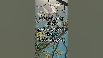 تلاوة هادئة | القارئ ياسين الجزائري