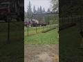 Beams arrived !! Time to build sawmill shed. 20x50