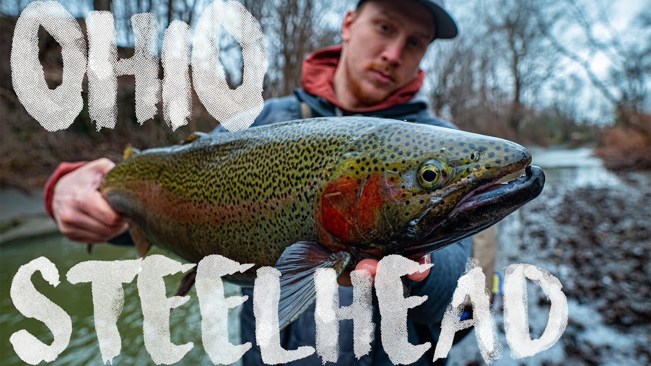 Рыбалка на стальноголового лосося в Огайо! День 1
