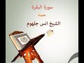 Surah Al Baqara By Anas Jalhoum سورة البقرة بصوت أنس جلهوم
