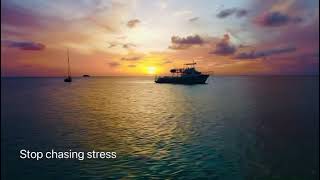 Chasing sunsets