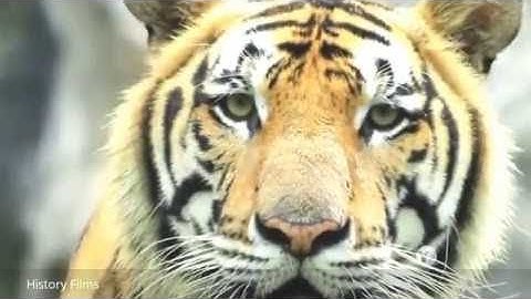 Mathematics The Language Of The Universe - Documentary