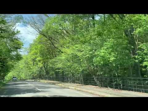 私の好きな道