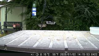 DSCF0422