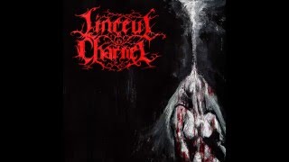 Linceul Charnel - Repugnance (full album)