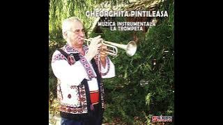 Gheorghita Pintileasa 2017 (CD-Original)