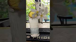 #drinksforsummer #tomcolin #cocktail #bar #drinkrecipes #gin