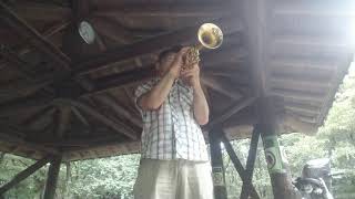 Trumpet mouthpiece trial BobReeves , YAMAHA , NewYorkClassic , Antonio Rapacciuolo , 山内博史