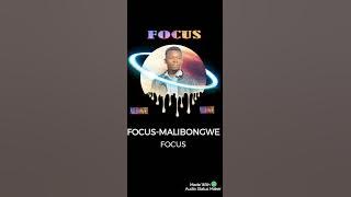 Focus-Malibongwe