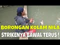 mancing borongan ikan bawal dan nila, juaranya hanya satu orang yang lain nonton