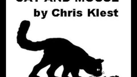 Cat and Mouse Game Demo - Game Created in Excel, using VBA