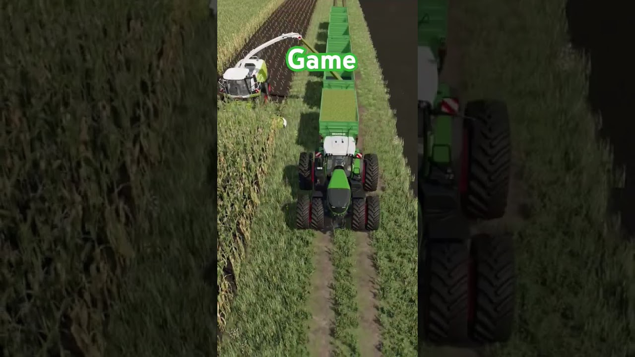 Real vs Game 