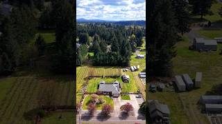 3135 74th Ave video tour