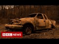 Deadly wildfires rage up and down US West Coast - BBC News