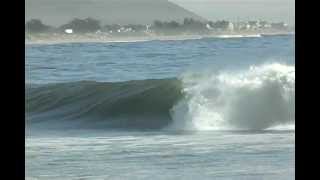 Jibs 2011