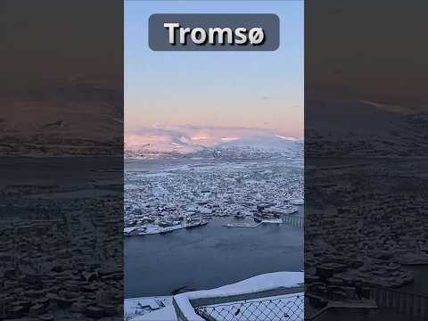 Tromsø's Winter Attractions and Northern Lights