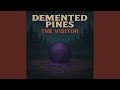 The Visitor