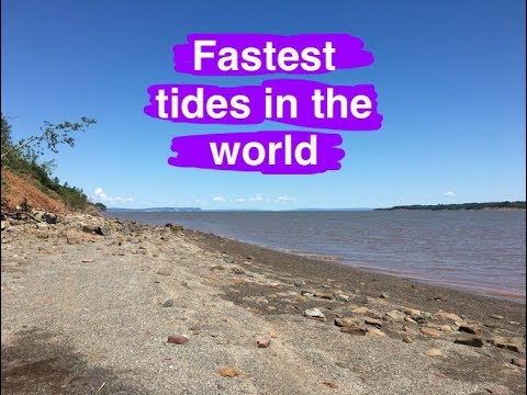 Bay Of Fundy High Tide to Low Tide (Fastest Tides in the ...