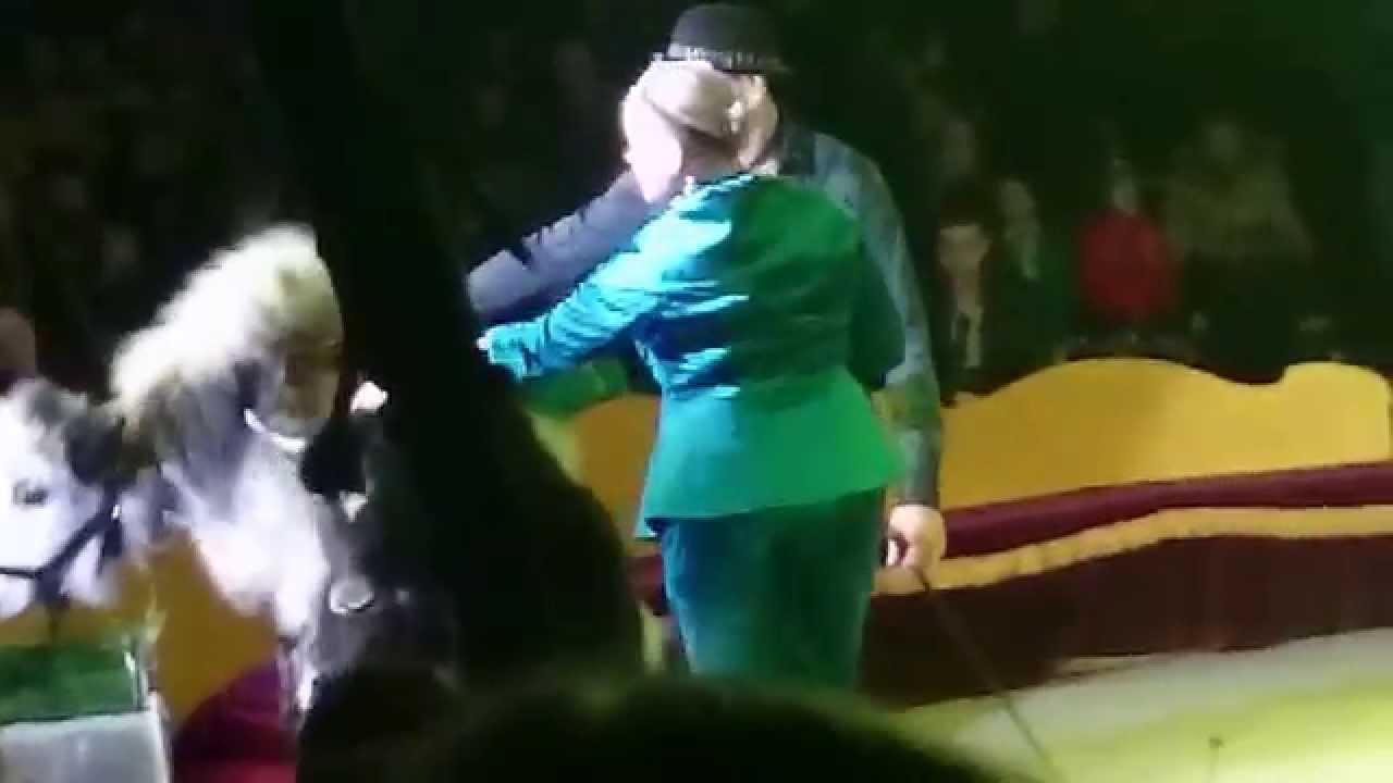 Воронежкий цирк "Алле" в Пскове.Очаровательные яки