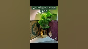 تلاوةخاشعة الشيخ أحمد خليل شاهين