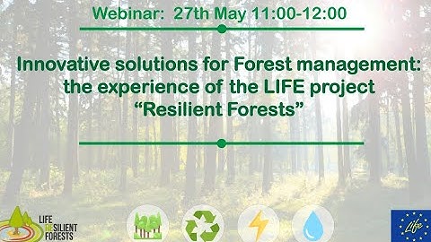 LIFE Resilient Forests: Innovative Solutions for Forest Management and the CAFE DSS tool