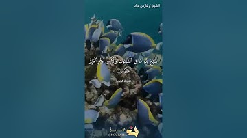 سورة الحديد الاية 1_11 الشيخ وديع اليمني