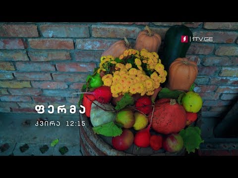„ფერმა\" - 2 დეკემბერს, 12:15 საათზე