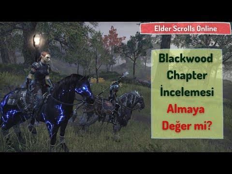 Elder Scrolls Online - Blackwood İncelemesi