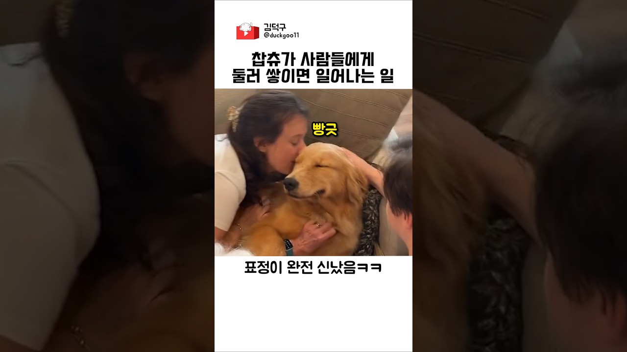 찹츄가 사람들에게 둘러쌓이면 일어나는 일