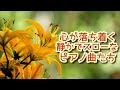 【安らぎ音楽】心が落ち着く静かでスローなピアノ曲たち~リラックス、安眠、疲労回復