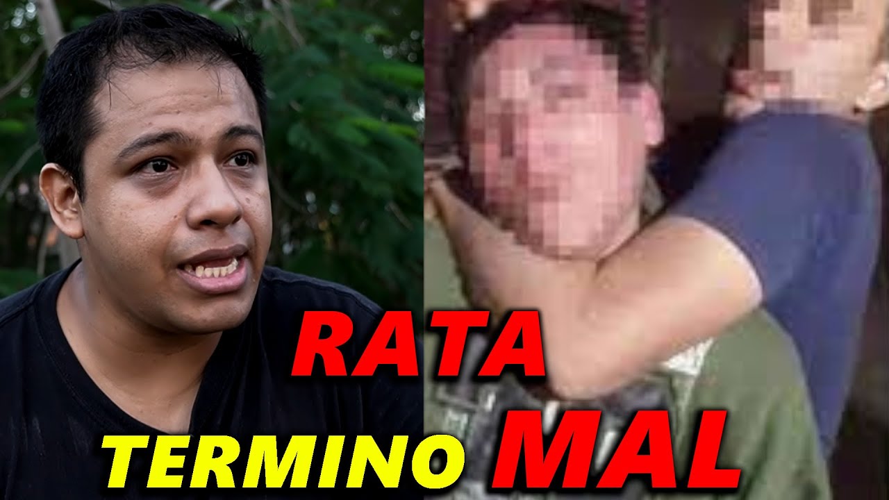 Agarre al RATA que se metió a mi casa y terminó mal