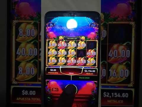 big casino slot machine wins | at chumash casino 1.00 x 2 cents = big jackpot