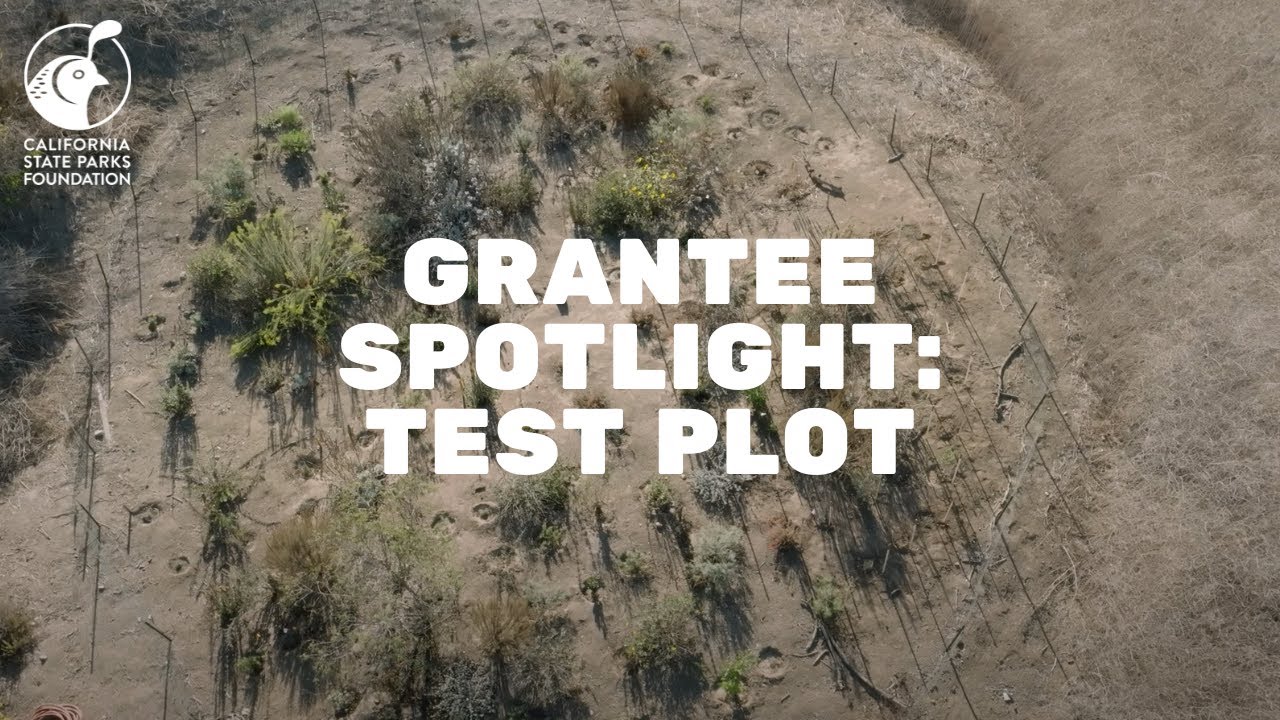 Grantee Spotlight: Test Plot - YouTube