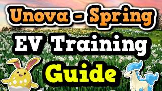 Unova Spring EV Training Guide - PokeMMO