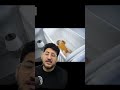 مهزلة lorex baby monitor ( اليوم رقم 32 )