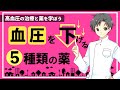 【知っ得】高血圧の治療に１番使われる薬は？血圧が上がる仕組みと５種類の降圧薬【薬剤師が解説】