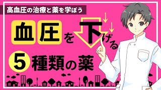 【知っ得】高血圧の治療に１番使われる薬は？血圧が上がる仕組みと５種類の降圧薬【薬剤師が解説】