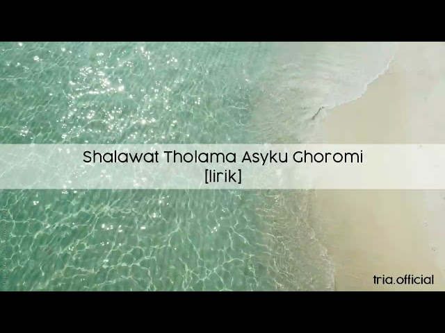 Sholawat Tholama Asyku Ghoromi - cover by Alwi Assegaf [lirik] class=