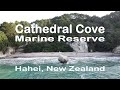 Cathedral Cove Marine Reserve | Hahei, New Zealand
