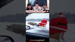 Tom Holland Reacts To Christmas Fails 🤣 PART 2 #tomholland #christmas