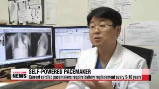 Local researchers develop semi permanent pacemaker