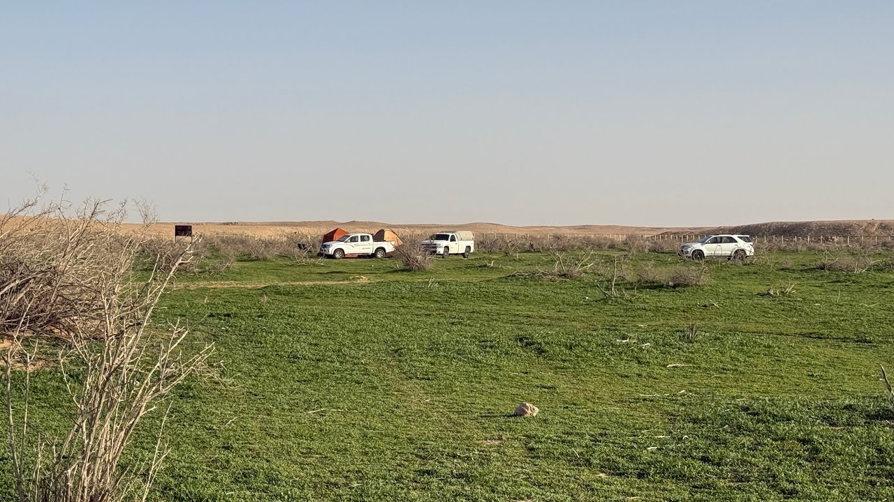 كشتة ربيع فياض جنوب الصمان الشرقي 