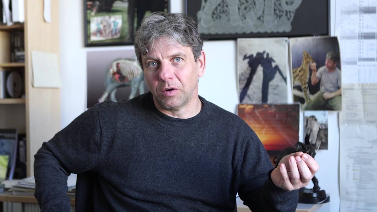 Dr Hildebrand YouTube